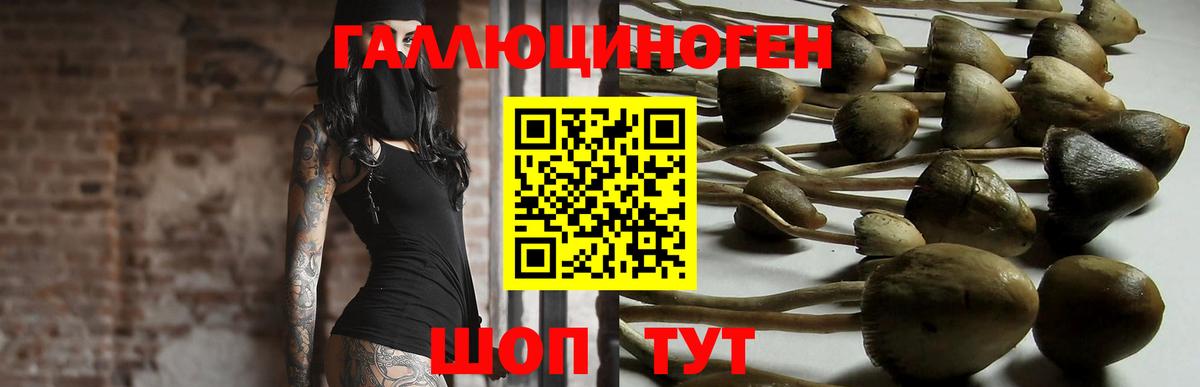 Псилоцибиновые грибы мухоморы  закладки  Прокопьевск  Вход с VPN 